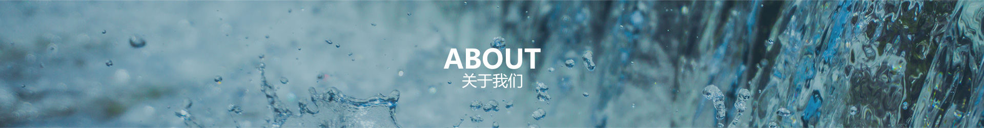 关于888集团